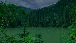 Parcul Natural Bucegi — informații despre trasee și regulamente.