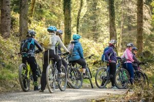 trasee MTB România