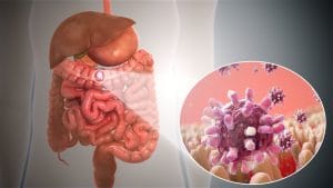 Infecțiile digestive (gastroenterite)
