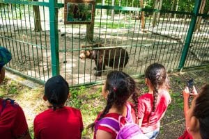 Activități educative în grădinile zoologice naturale