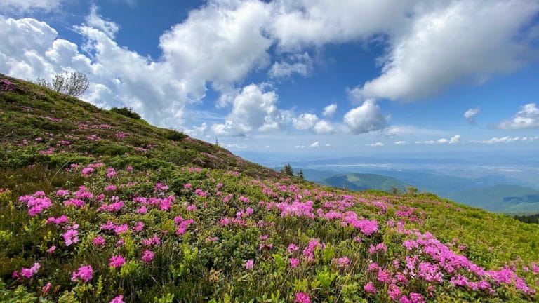 Cele mai frumoase locuri de vizitat în România în 2025