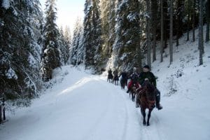 Drumeții cu cai în Bucovina