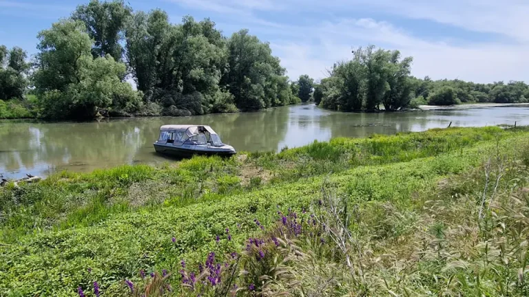 Ecoturism responsabil pe Canalul Crișan – Caraorman Ecoturism responsabil pe Canalul Crișan – Caraorman